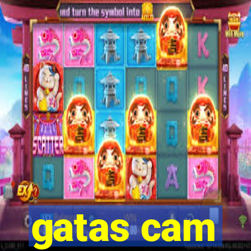 gatas cam